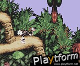 Donkey Kong Country (Game Boy Color)