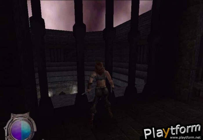 Resurrection: The Return of the Black Dragon (PC)