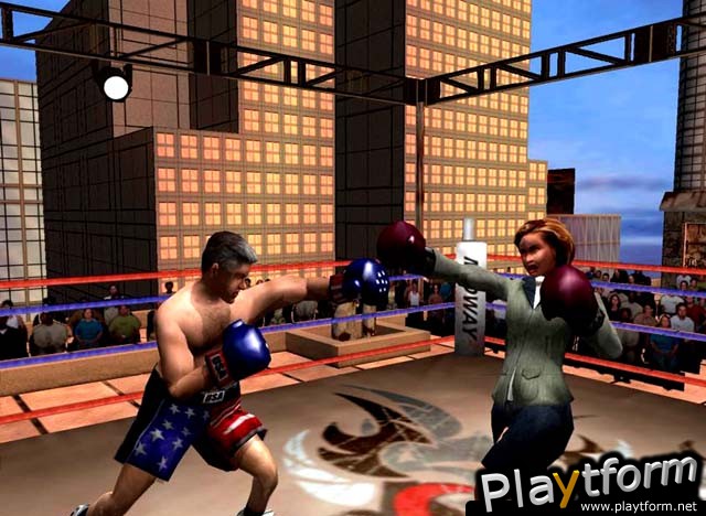 Ready 2 Rumble Boxing: Round 2 (PlayStation 2)