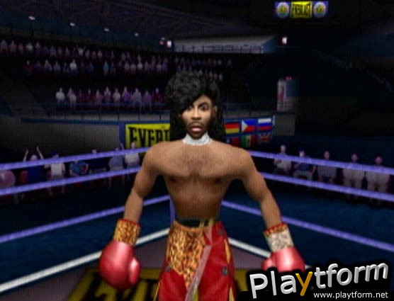 Ready 2 Rumble Boxing: Round 2 (PlayStation 2)