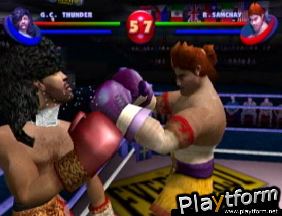 Ready 2 Rumble Boxing: Round 2 (PlayStation 2)