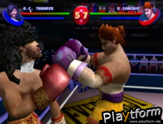 Ready 2 Rumble Boxing: Round 2 (PlayStation 2)