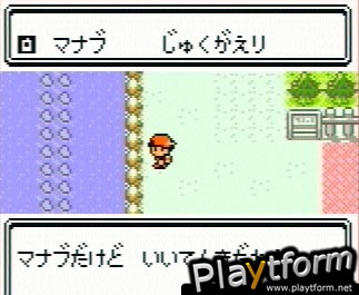 Pokemon Silver Version (Game Boy Color)