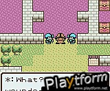 Dragon Warrior I&II (Game Boy Color)