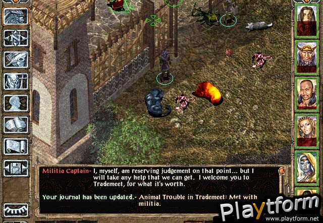 Baldur's Gate II: Shadows of Amn (PC)