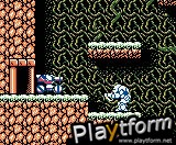 Blaster Master: Enemy Below (Game Boy Color)