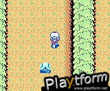 Blaster Master: Enemy Below (Game Boy Color)
