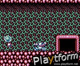 Blaster Master: Enemy Below (Game Boy Color)