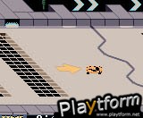 San Francisco Rush 2049 (Game Boy Color)