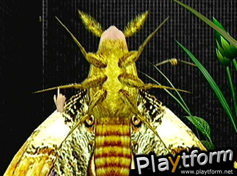 Seaman (Dreamcast)