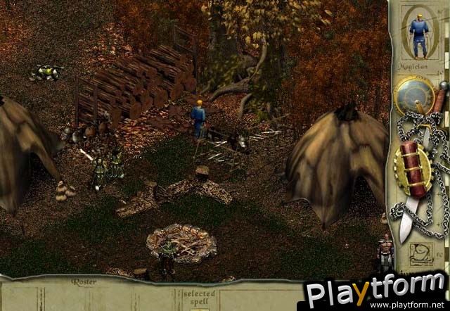 Siege of Avalon (PC)