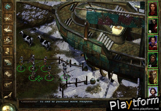 Icewind Dale (PC)
