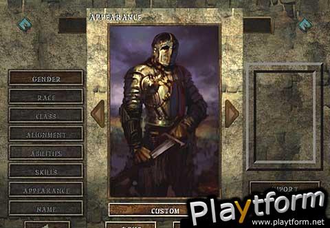 Icewind Dale (PC)