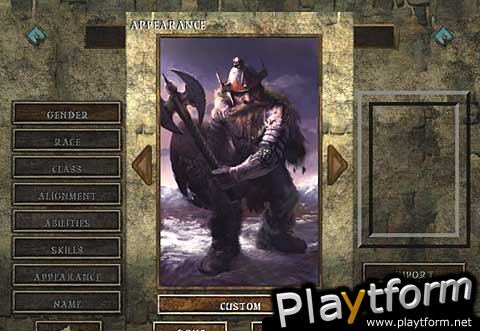 Icewind Dale (PC)