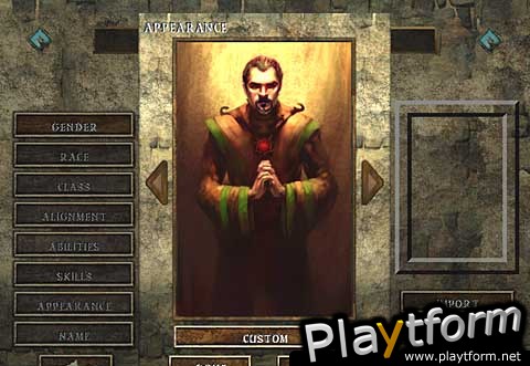 Icewind Dale (PC)