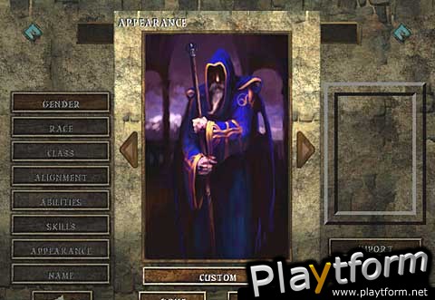Icewind Dale (PC)