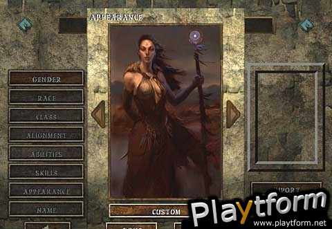 Icewind Dale (PC)