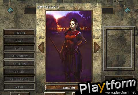 Icewind Dale (PC)