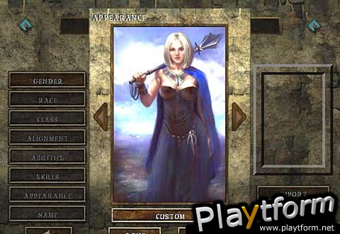Icewind Dale (PC)