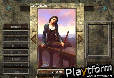Icewind Dale (PC)