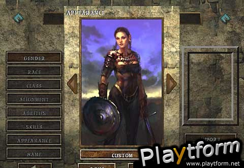 Icewind Dale (PC)