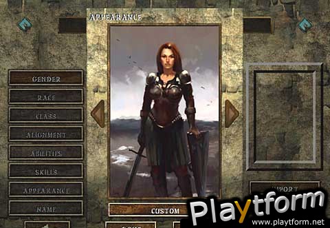 Icewind Dale (PC)