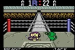 Monkey Puncher (Game Boy Color)