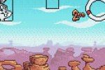 Looney Tunes Racing (Game Boy Color)