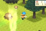 Harvest Moon: Back To Nature (PlayStation)