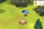 Harvest Moon: Back To Nature (PlayStation)