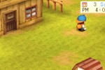 Harvest Moon: Back To Nature (PlayStation)