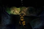 Tomb Raider: Chronicles (PC)