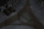 Blair Witch Volume 3: The Elly Kedward Tale (PC)