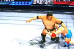 WWF SmackDown! 2: Know Your Role (PlayStation)