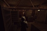 Star Trek: Deep Space Nine: The Fallen (PC)
