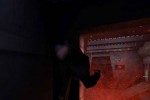 Star Trek: Deep Space Nine: The Fallen (PC)