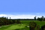 Tiger Woods PGA Tour Golf (PlayStation)