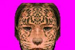Animorphs (Game Boy Color)