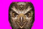 Animorphs (Game Boy Color)