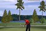 Tiger Woods PGA Tour 2001 (PC)