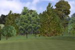 Tiger Woods PGA Tour 2001 (PC)