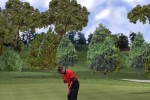 Tiger Woods PGA Tour 2001 (PC)