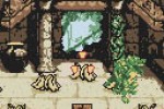 Donkey Kong Country (Game Boy Color)