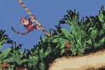 Donkey Kong Country (Game Boy Color)