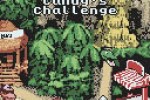 Donkey Kong Country (Game Boy Color)