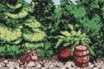 Donkey Kong Country (Game Boy Color)