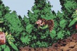 Donkey Kong Country (Game Boy Color)