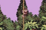 Donkey Kong Country (Game Boy Color)