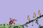 Donkey Kong Country (Game Boy Color)