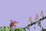 Donkey Kong Country (Game Boy Color)